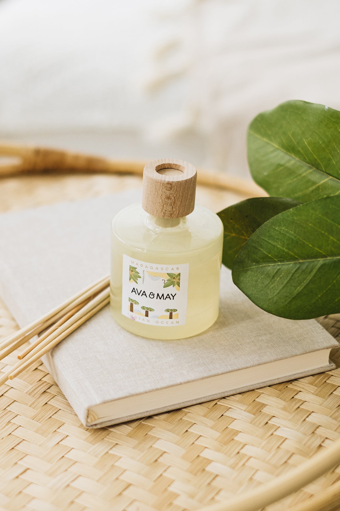 a-place-for-all-your-needs-to-get-diffuseur-de-parfum-madagascar-online-now_2.jpg